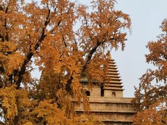 -北京石刻艺术博物馆(五塔寺)