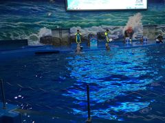 -多彩贵州城极地海洋世界