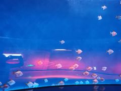 -沈阳海洋探索中心