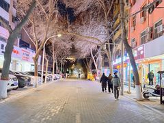 -阿叶羊杂碎(前进街店)