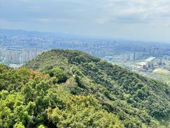 -杭州半山国家森林公园