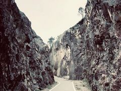 -红山村