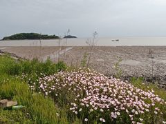-平湖九龙山旅游度假区