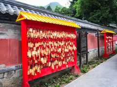 -阳台山自然风景区