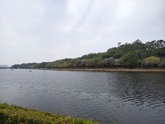 -南国桃园旅游度假区