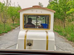 -泗洪洪泽湖湿地景区