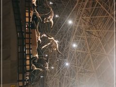 -世界恐龙谷景区