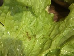 -香猪坊韩国烤肉专属门店(魏公村店)