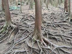 -含鄱口