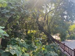 -里口山风景名胜区