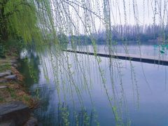 -西湖天地