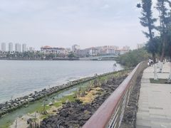 -万绿园