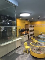 -神奇动物撸宠馆·羊驼·小浣熊·异宠(豫园店)