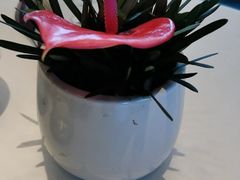 -上海总会SHANGHAICLUB(兴业太古汇店)