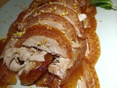 -青年公社烤鸭(蜀山万象汇店)
