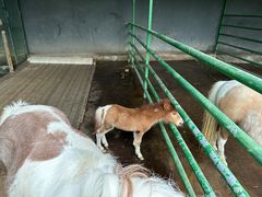 -瑞博尔花园酒店(太周创新产业园店)