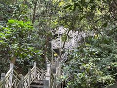 -南宁良凤江国家森林公园