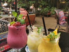 SweetBerry-Fern Forest Cafe