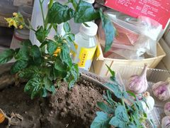-嘉和一品粥(大沽南路店)