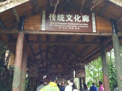 -海南槟榔谷黎苗文化旅游区