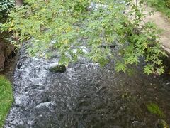 -水磨沟公园
