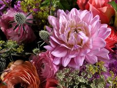 -荷兰布尔玛国际花艺学院