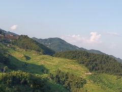 -紫鹊界梯田景区