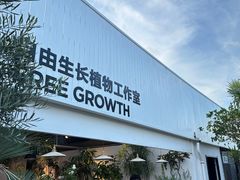 -自由生长植物工作室(深港花卉中心店)