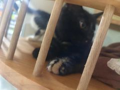 -佳雯宠物医院·皮肤科·内外科(春晓路分院)