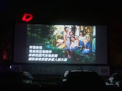 -枫花园汽车电影院(朝阳公园店)