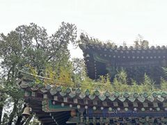 -潭柘寺景区
