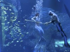 -波塞冬旅游度假区