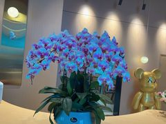 -8街壹号(富园广场店)