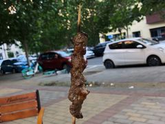 -西北老马食府(陈家营西路店)