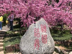 -三国水浒景区(无锡影视基地)