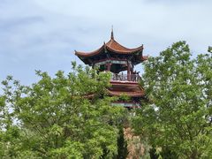 -南大港湿地风景区
