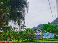 -重庆海昌加勒比海水世界
