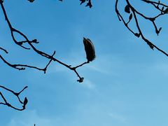 -天毓山庄·餐厅