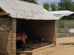 -武汉紫薇都市田园