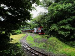 -济州森林小火车生态公园