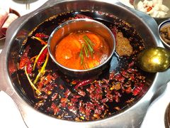 -青年火锅(吾悦广场直营店)