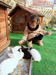 -萌宠亲子动物乐园(槐房万达店)