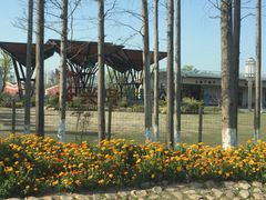 -上海长兴岛郊野公园