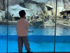 -喷泉广场餐厅·宵夜·海鲜烧烤大排档(长隆企鹅酒店)