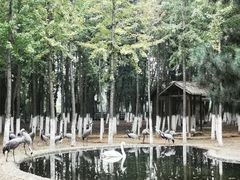 -艾溪湖湿地公园