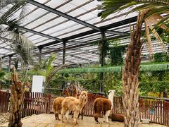 -呀路古热带植物园