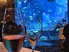 -迪拜帆船酒店海底餐厅