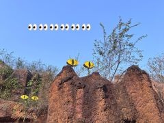 -杭州野生动物世界