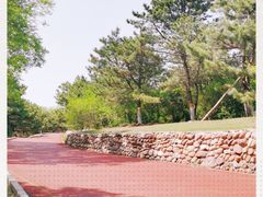 -云岗森林公园