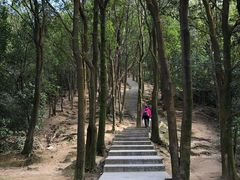 -火炉山森林公园